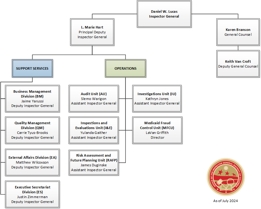 Org Structure